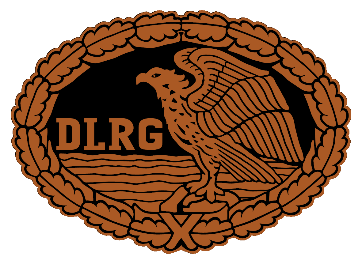 Bild deutsches Rettungsschwimmabzeichen Bronze