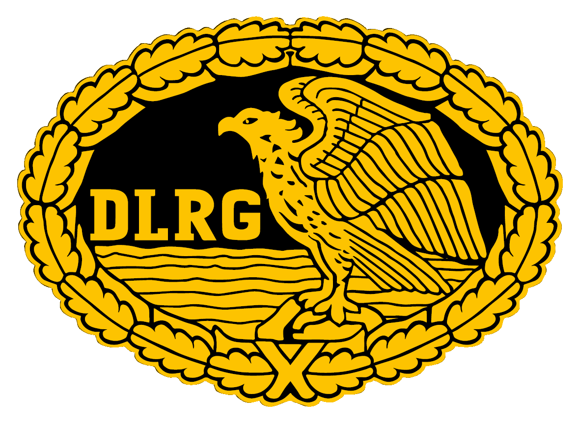 Bild deutsches Rettungsschwimmabzeichen Gold
